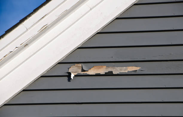 Best Same-Day Junk Removal Services  in La Plata, MO